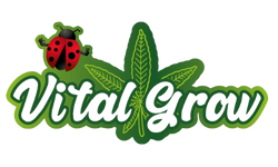 vitalgrow.mx